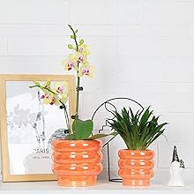 6+4inch plant pots