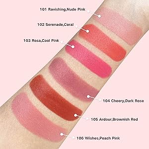 blush wand