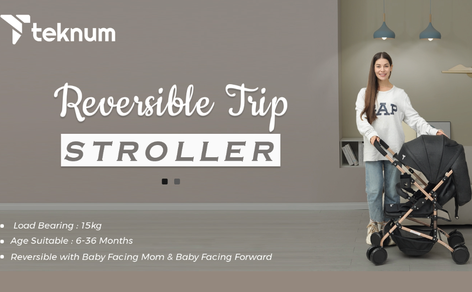 Teknum Reversible Trip Stroller