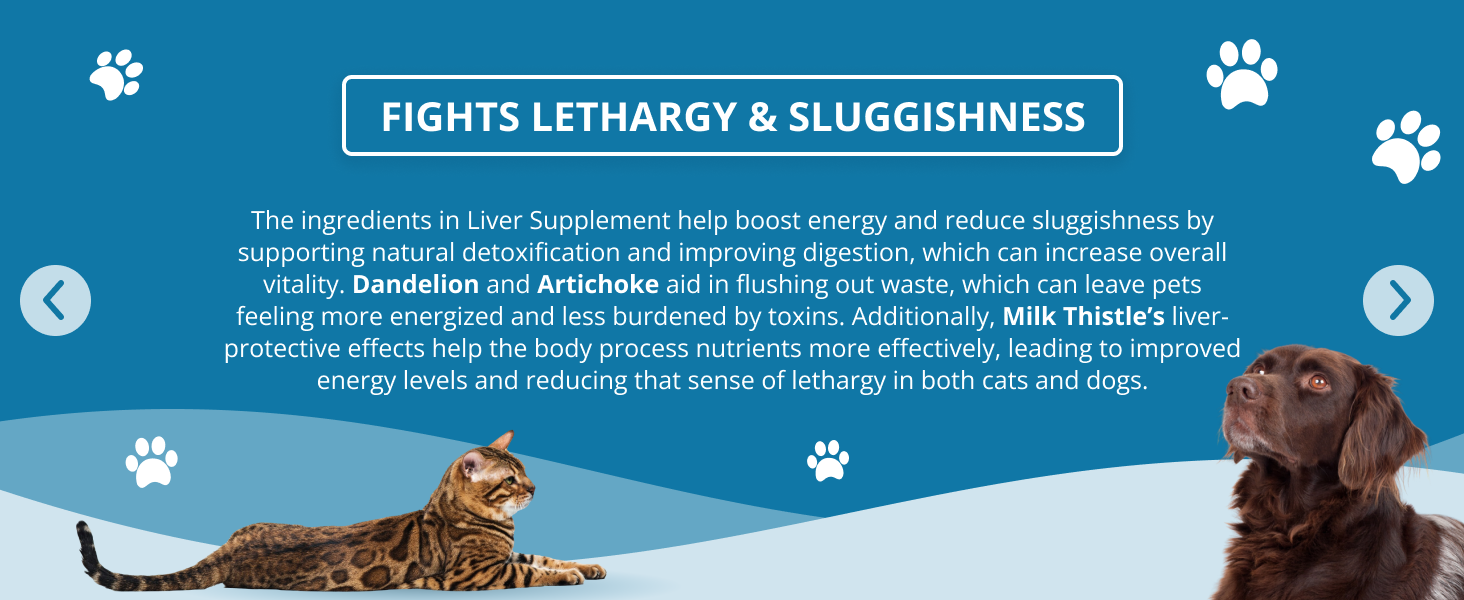 liver supplement fights lethargy and sluggishness lethargic dog or cat liver support
