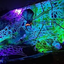 spider web party decoration