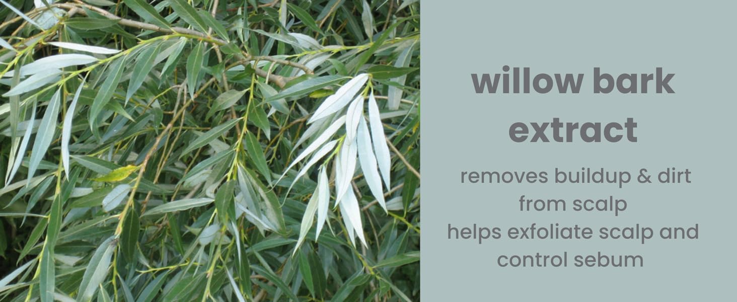 willow bark extract remove buildup exfoliate scalp natural sustainable cleanse purifying shampoo