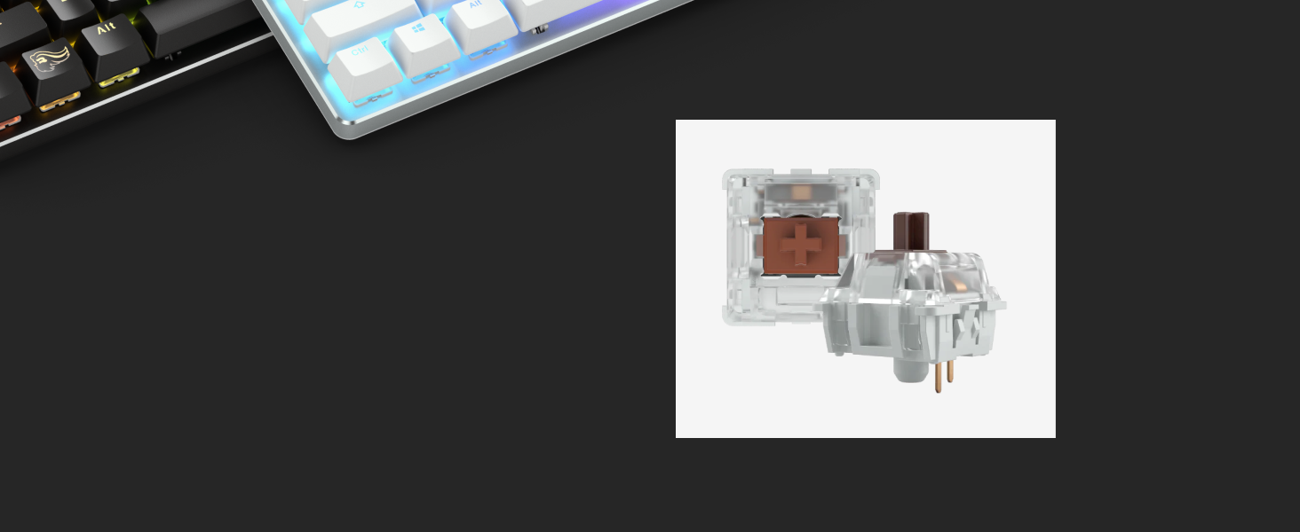 Glorious Gaming GMMK, Mechanisches Gaming-Keyboard, Gateron Brown Schalter, Doubleshot-Kappen