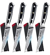 KYOKU Gin Series Steak Knife Set of 4, 4.5
