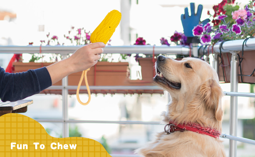 Pet Supplies amyzannk Indestructible Dog Toys for Aggressive Chewers