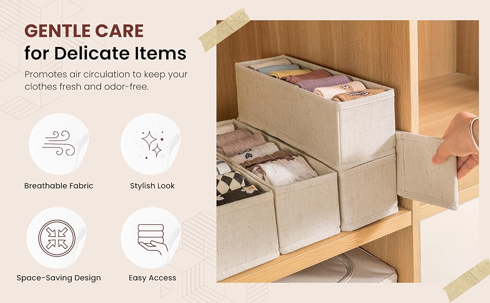 Wardrobe Organizer for Socks, Bra, Panty, Lingerie,Ties Storage