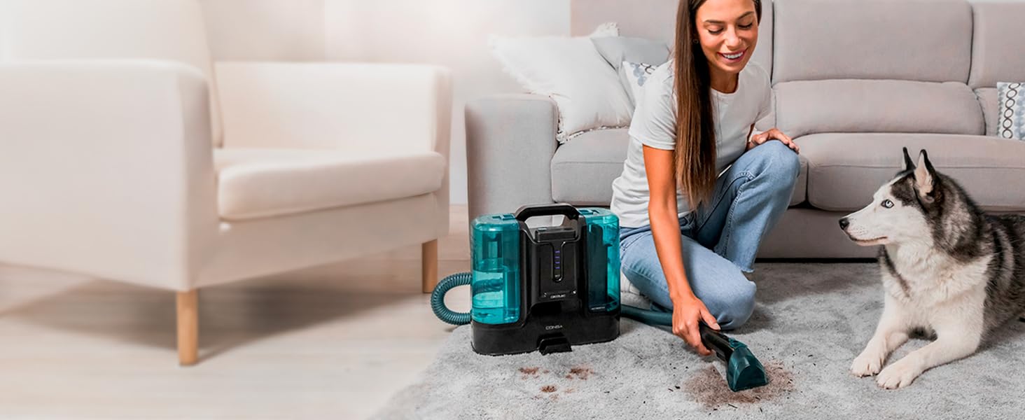 Cecotec Conga Carpet&Spot Clean Infinity Cordless Upholstery and Carpet Vacuum Cleaner. 150W, 2 Interchangeable Batteries, 60Mins Autonomy, Water Sprayer and Window Cleaner Accessory 11 con detalles en verde azulado que se usa en alfombras cerca de un perro. Mujer con camisa blanca manejando la aspiradora junto a un sofá y un sillón