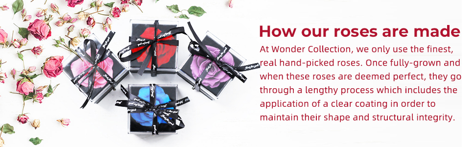 preserved rose with necklace