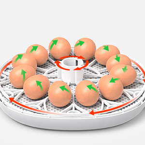 Coco7⭐︎さん専用　Life Basis 鳥類専用自動孵卵器 インキュベーター 61sBQlMB25L._AC_UF350,