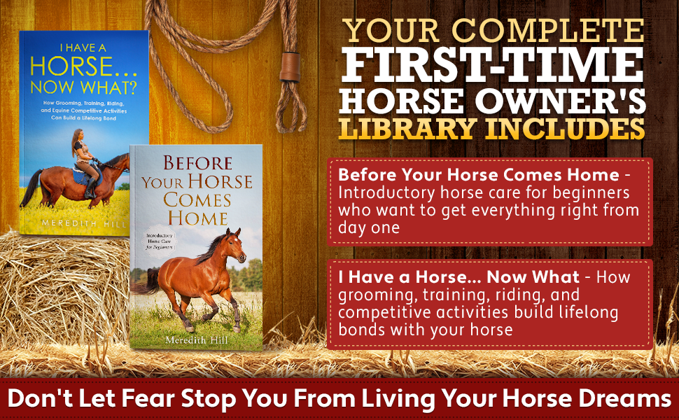 Excited for Your First Horse… But Unsure Where to Begin?