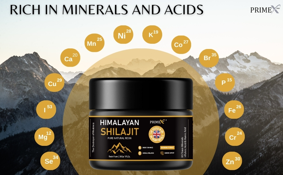 Minerals in Shilajit