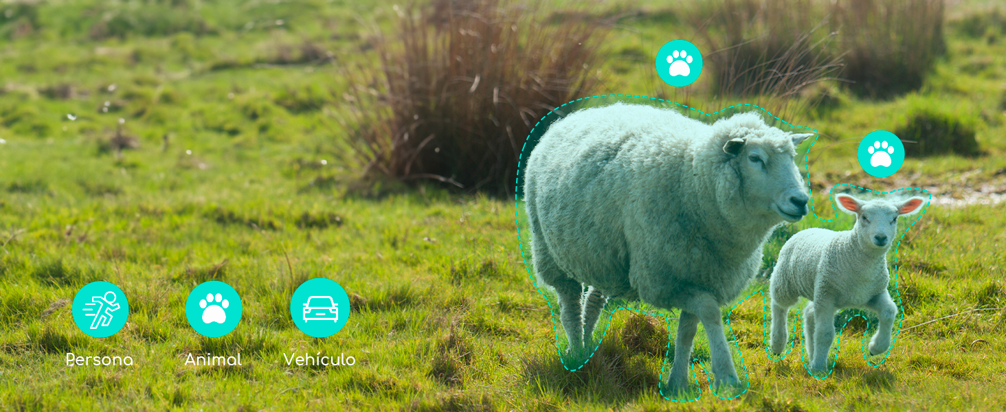 Ilustração digital de ovelhas num campo verde com ícones de interface flutuantes, incluindo impressões de patas e símbolos de configurações sobrepostos