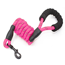 dog lead