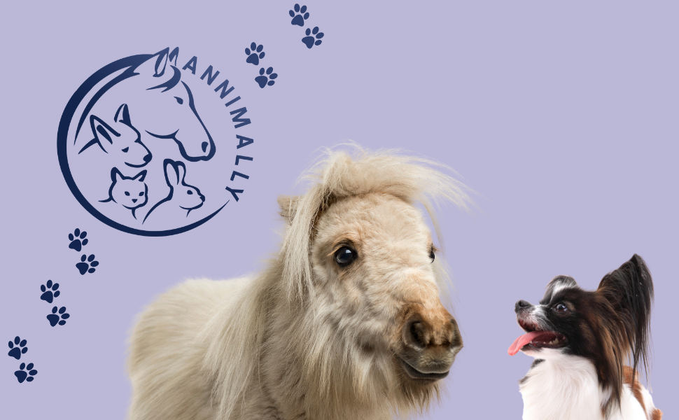 ein Hund und ein Pony