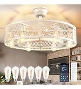 DLLT Caged Ceiling Fan with Lights: 26