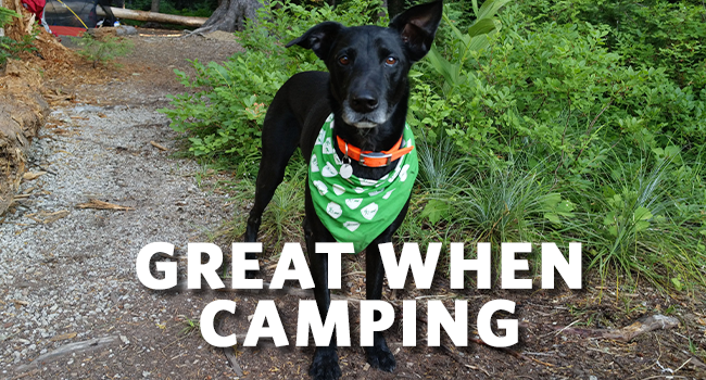 Large manufacture image 6