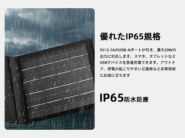 Amazon.co.jp: Philips (フィリップス) 20Wソーラーパネル
