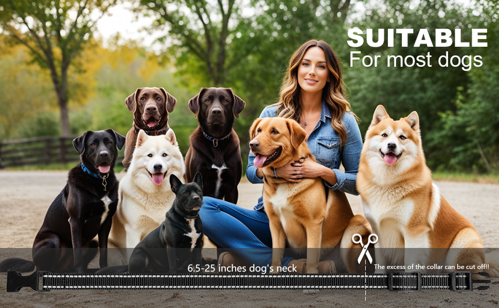 dog shock collar replacement