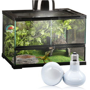 Reptile Heating lamp
