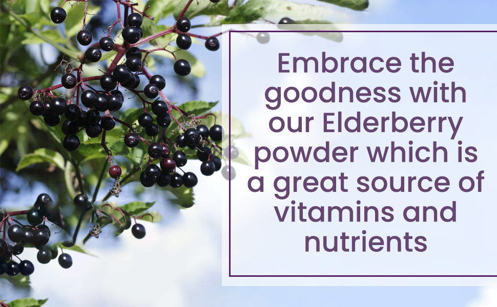 AKI Elderberry Powder