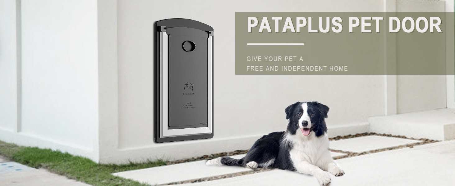 PATAPLUS Cat Door for Wall, Telescopic Tunnel, Steel Frame