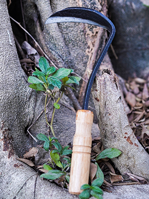 Amazon.com: TOYPOPOR Japanese Weeding Sickle Hoe, 11
