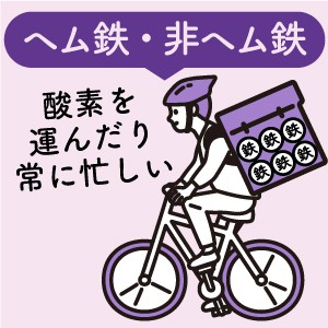 3종의 철 리치 요네키치 철분 보급 보충제 철 기능철