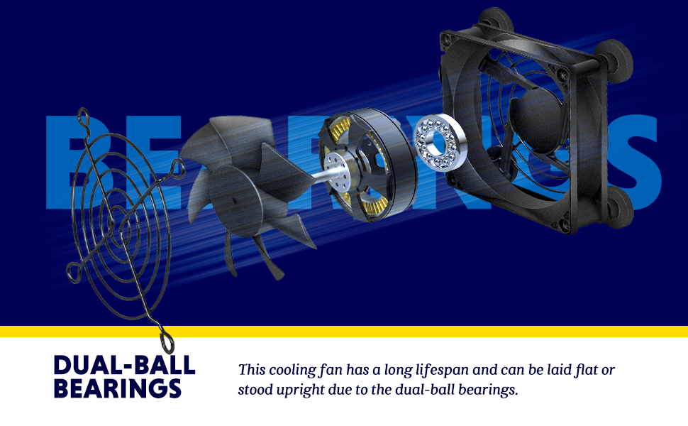 DUAL-BALL BEARINGS