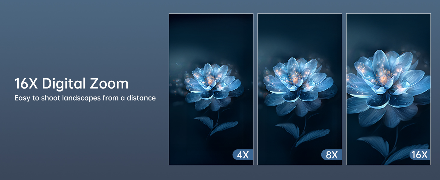 16X digital zoom