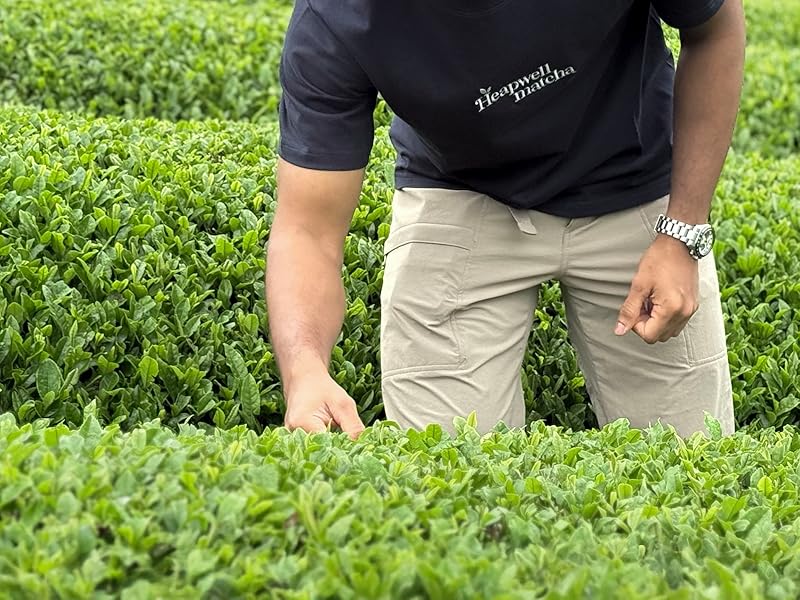 Large manufacture image 1