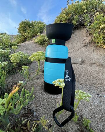 dog water bottle
