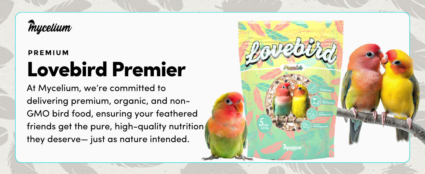 Organic Bird Food, Lovebird Feed, Pet Bird Seed, Mycelium Lovebird Feed