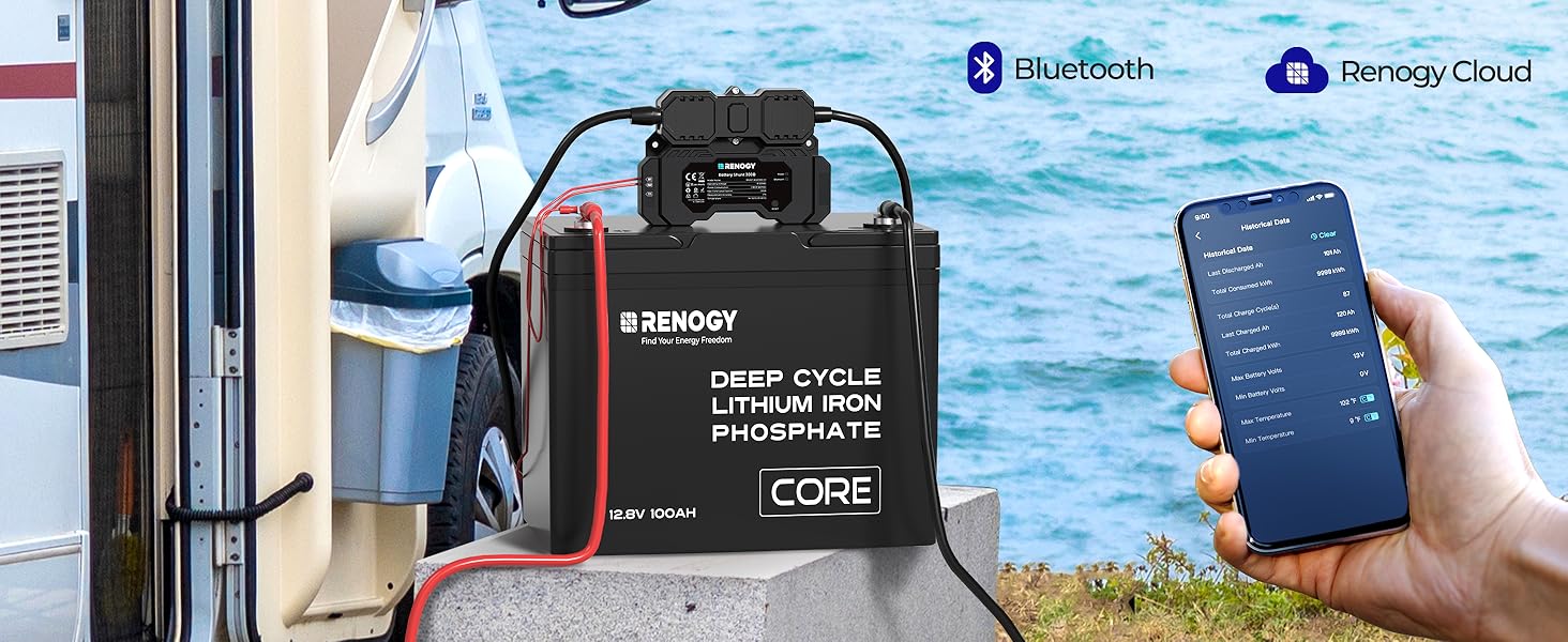 Renogy Battery Shunt 300 Monitor Amazon.ca Electronics
