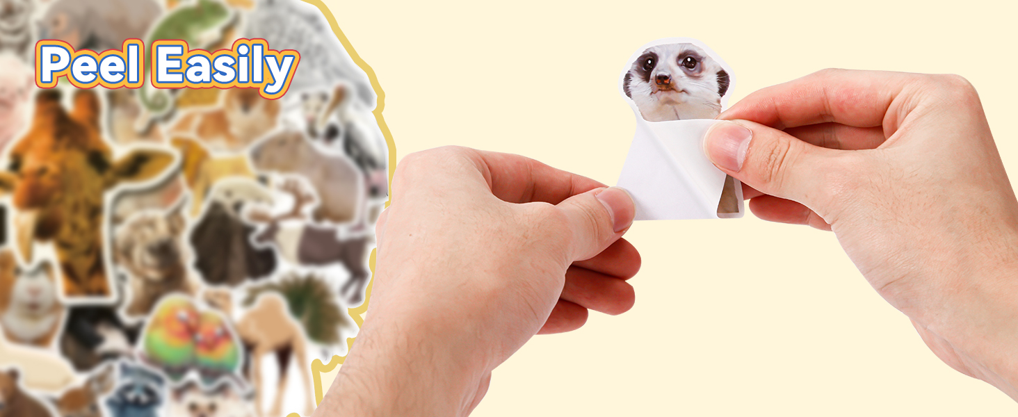 stickers for kids classroom