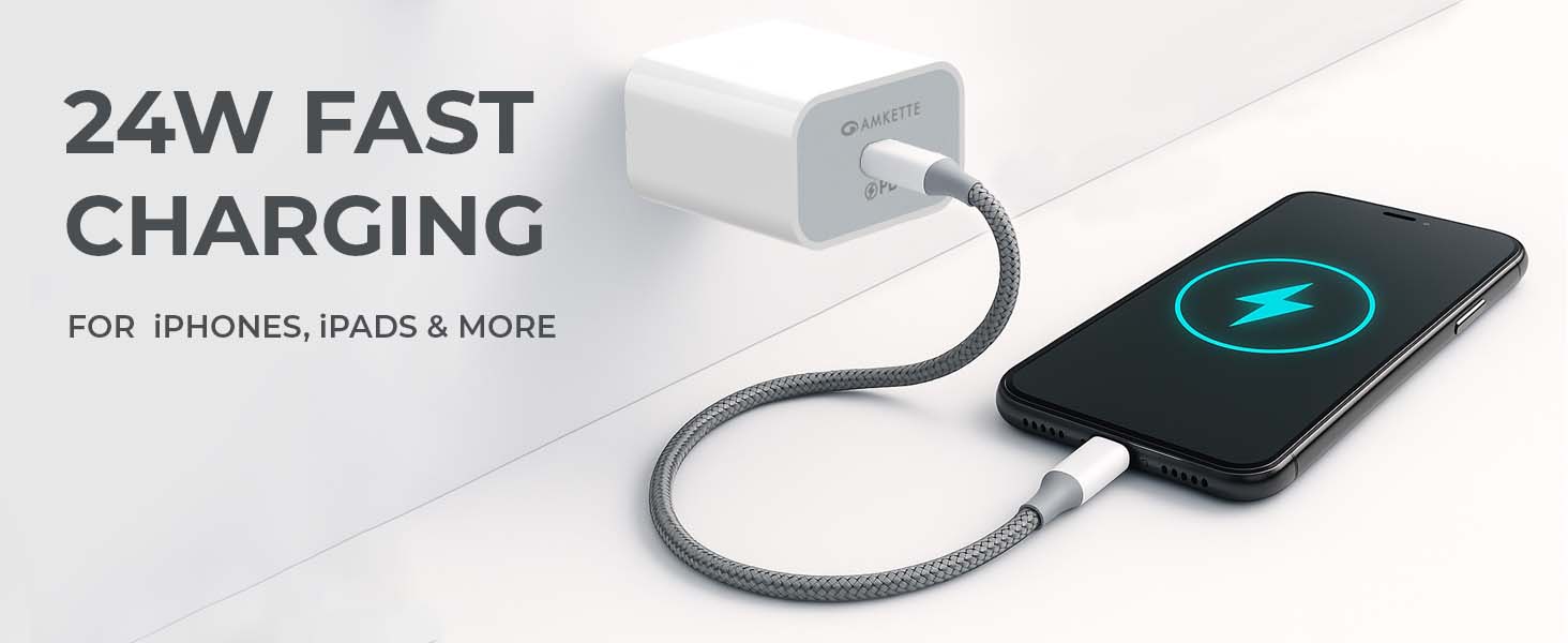Amkette ChargePro 24W PD Wall Charger