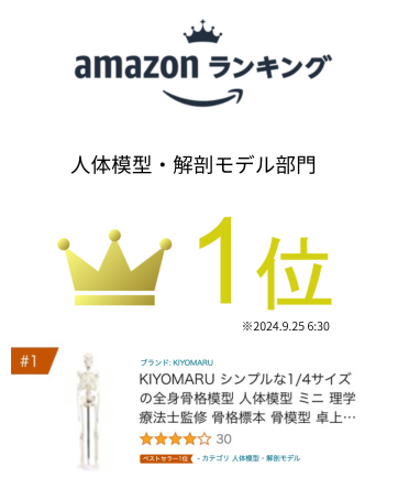 KIYOMARU ソフトな質感で15分解できる卓上サイズの人体解剖模型 Amazon.co.jp: KIYOMARU ソフトな質感で15分解できる卓上サイズ