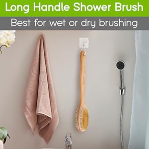 body brush long handle