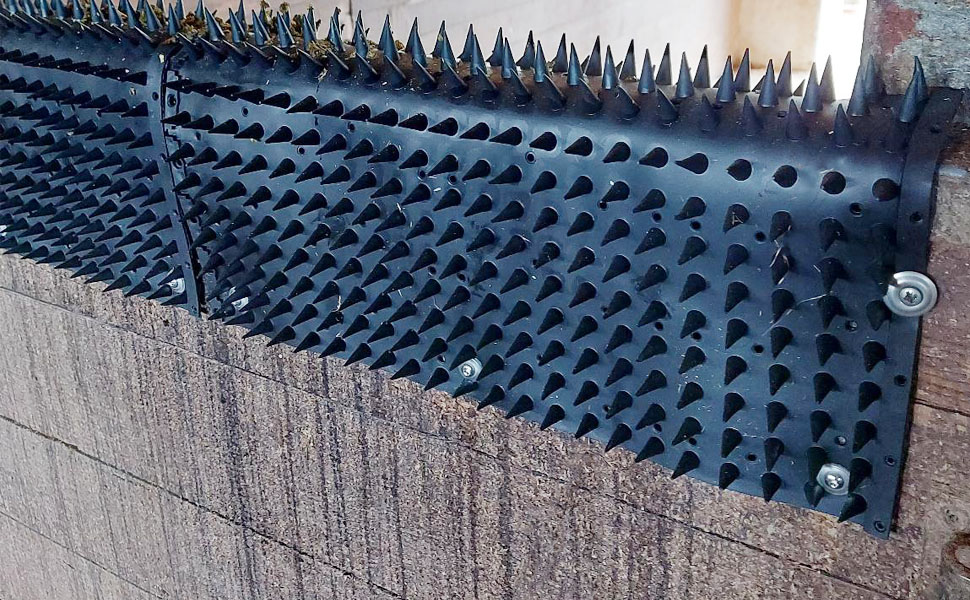 Cattle, horses, sheep, dogs scratching brush