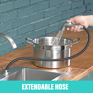 kitchen faucet with sprayer