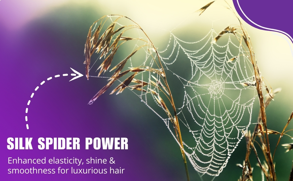 Anti-Hair Loss Shampoo