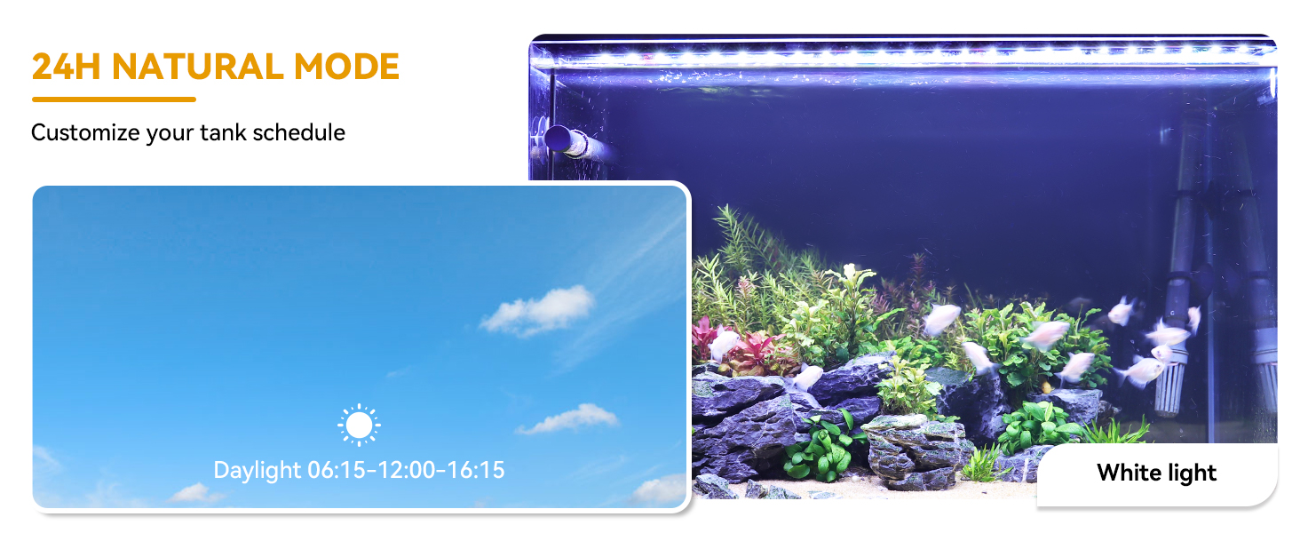 aquarium plant ligh