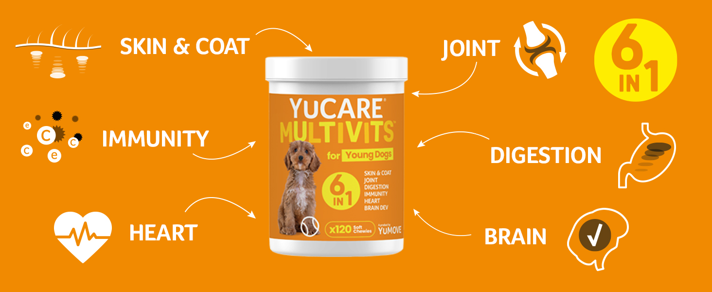 YuCARE MultiVits Young