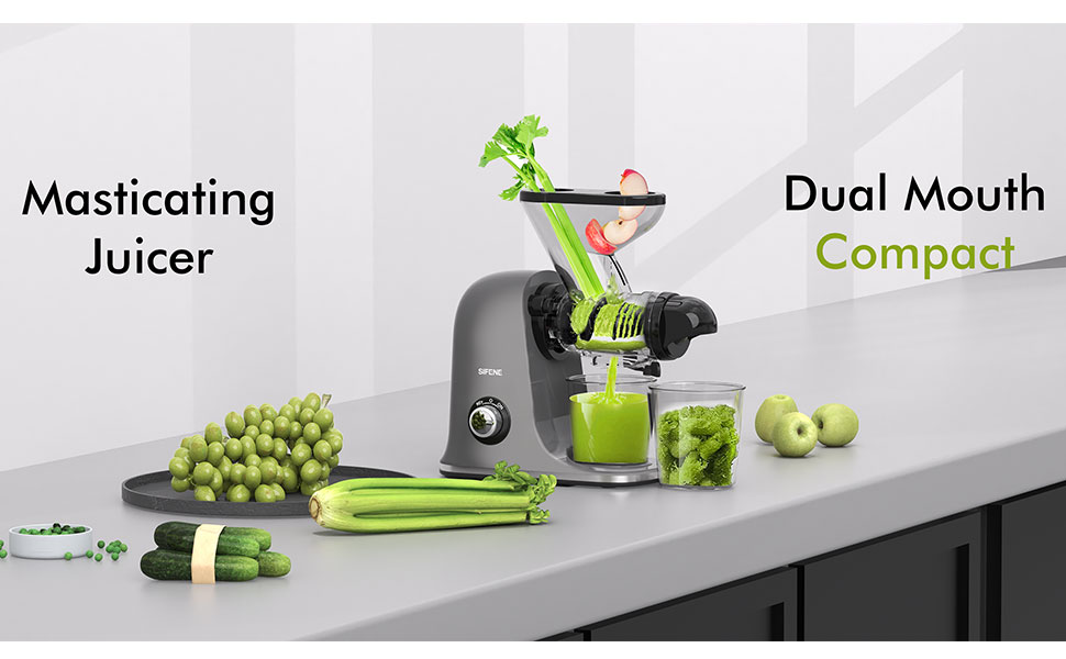 kitchen fruit juicer mixer juicer