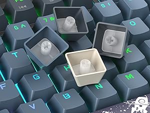 PBT Double Shot Keycaps