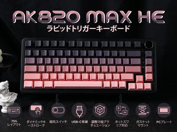 TiNY KLASH low つや消しレジェンドチャートとワイヤーガード　セット TINY KLASH LOW レジェンドチャート Amazon.co.jp: DRT TiNY