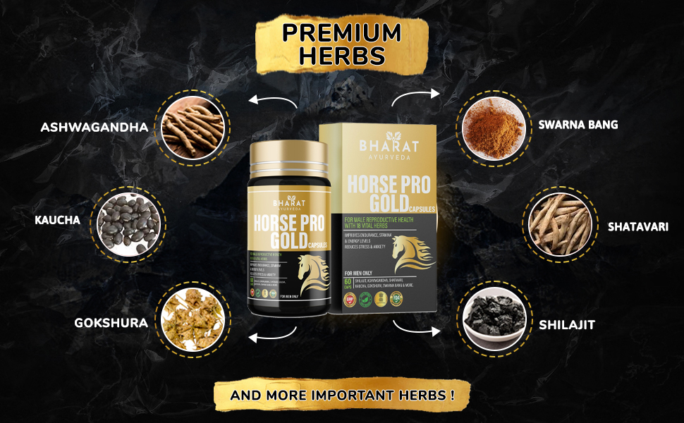 Horse Pro Gold Ayurvedic Supplement for Stamina Reduces Stress Enhances Ashwagandha Shilajit