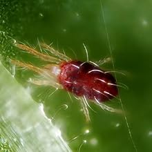 Small manufacture image 9