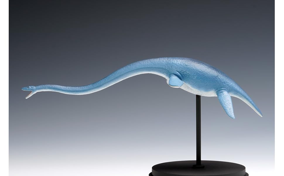 Amazon | ウェーブ 1/35 フタバスズキリュウ 全長約23cm
