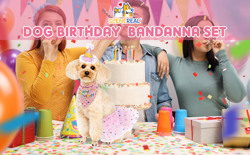 dog birthday set