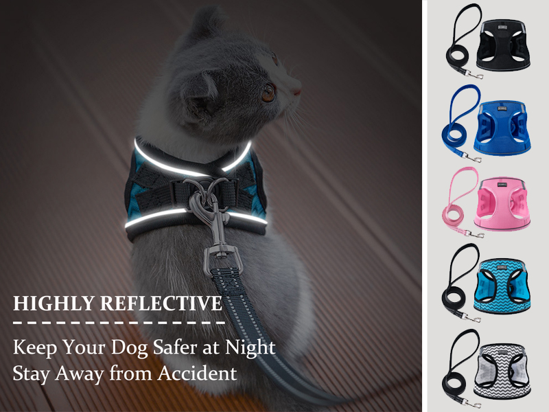 No-Pull Pet Harness with 2 Leash Clips, Adjustable Soft Padded Dog Vest